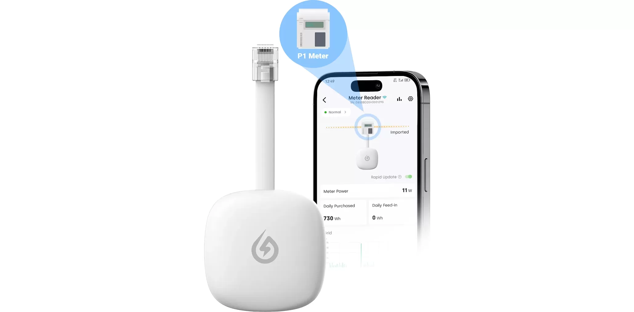 Hoe de P1 Meter-lezer installeren?