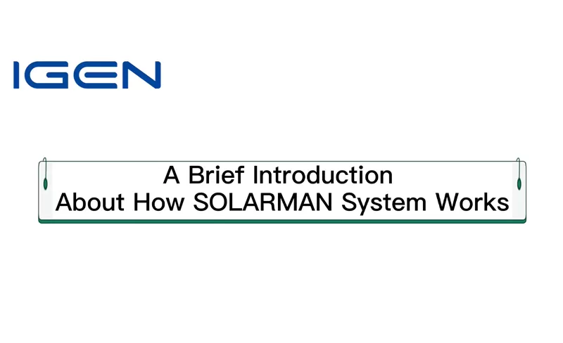 Instructies voor SOLARMAN Business Web