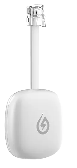 P1 Meterlezer