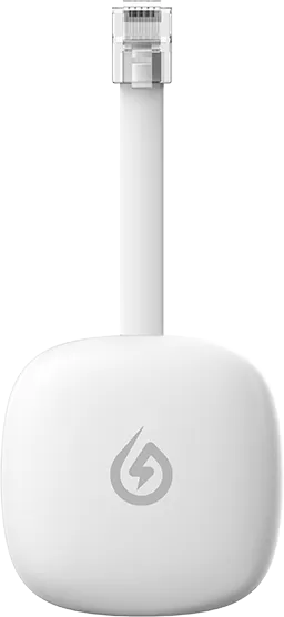 P1 Meterlezer